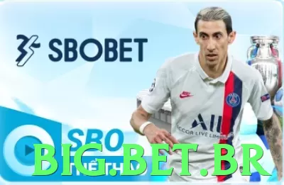 bigbet: O Guia Definitivo Para Jogadores Brasileiros - vip